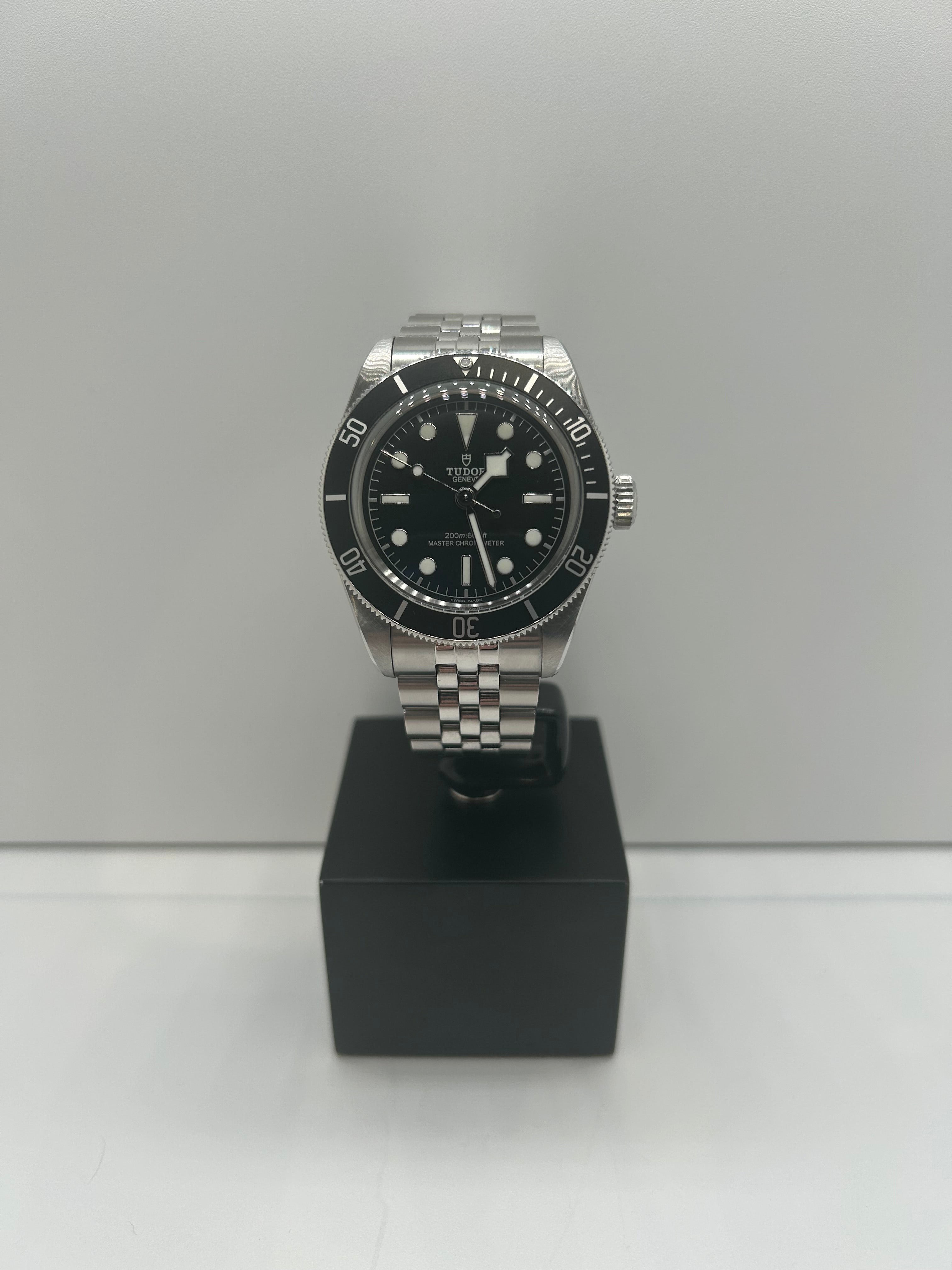 Tudor Black Bay